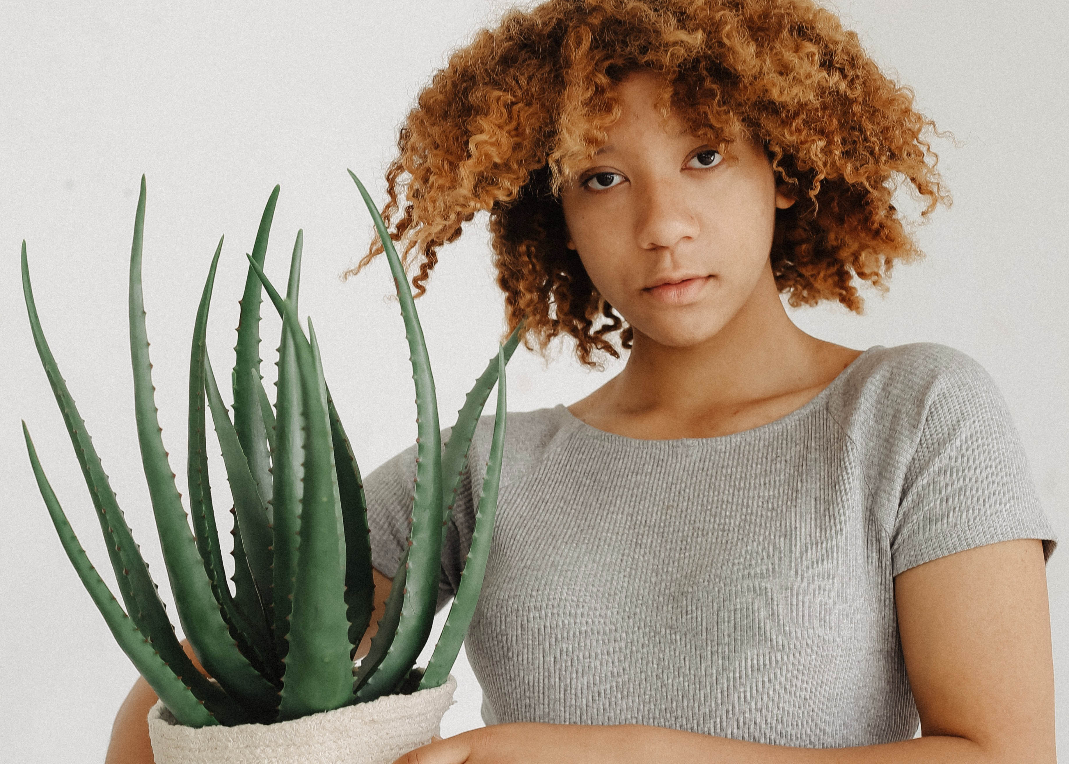 Hydrate curls and dry frizzy hair with aloe vera -Ayacaona - Royaltynatural
